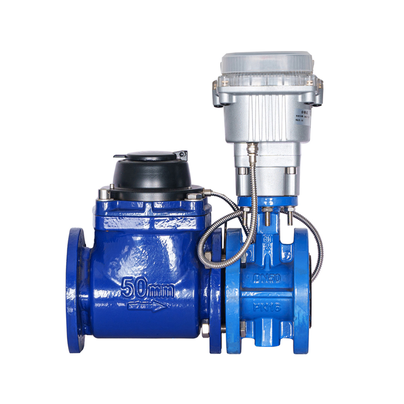 Đồng hồ đo nước điều khiển bằng van cánh vít có thể tháo rời ngang WPH DN50-DN200 (có van xếp chồng)