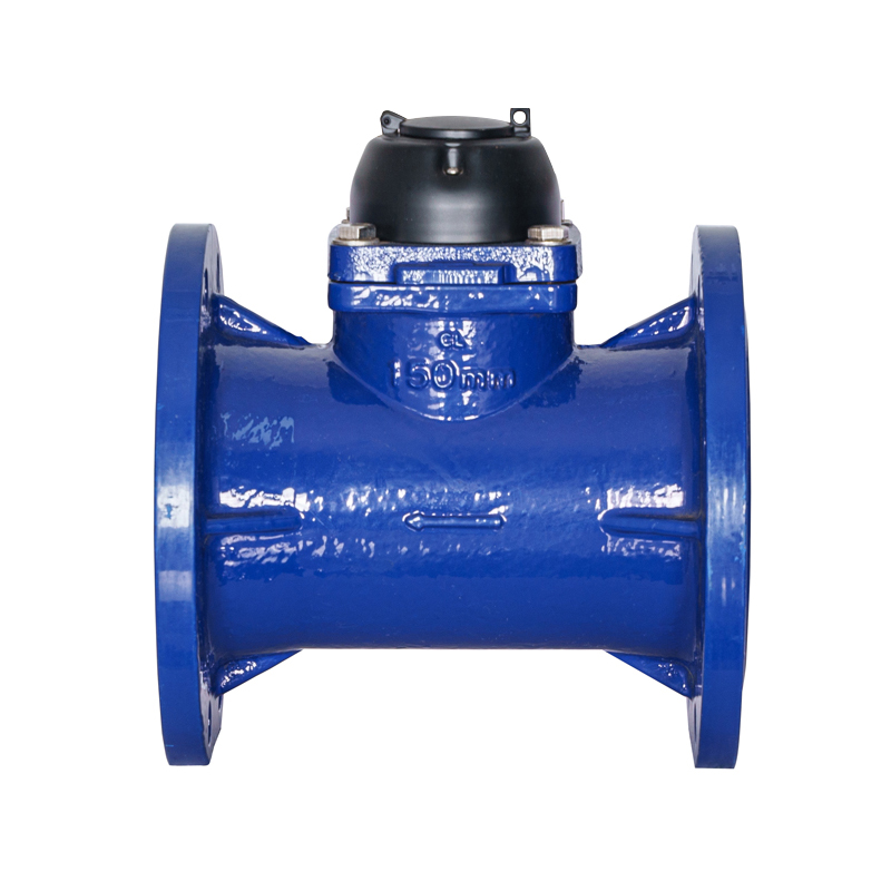 Đồng hồ nước tưới khối nước WI-DN50-DN200