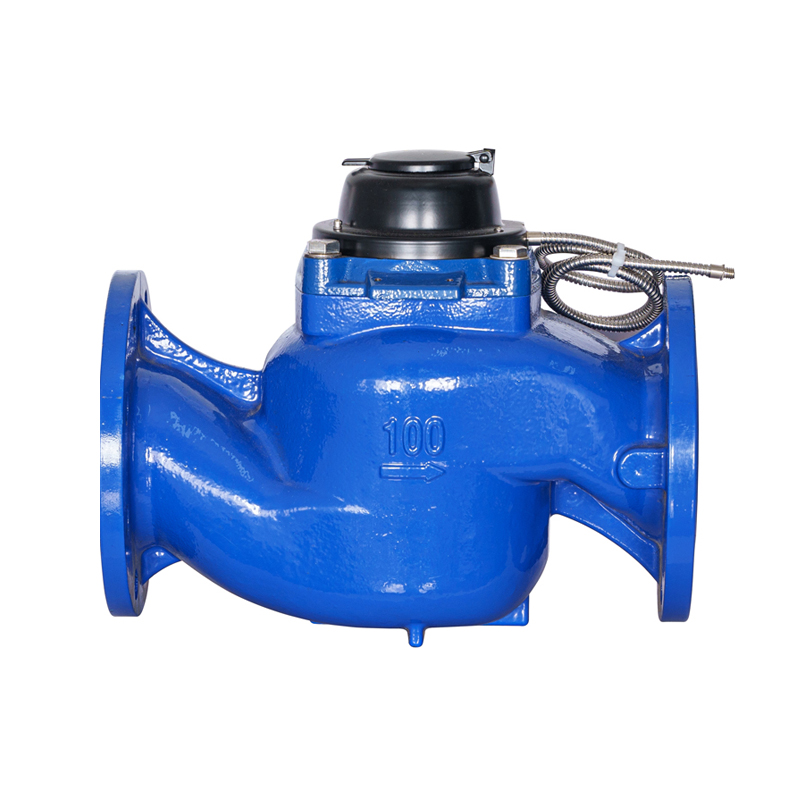 WS-DN40-DN200 Đồng hồ đo nước đọc trực tiếp quang điện có thể tháo rời có độ chính xác cao
