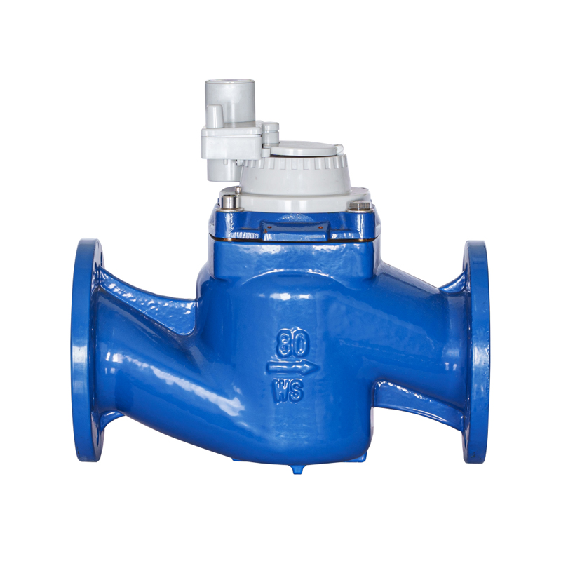 WS-DN40-DN200 Đồng hồ đo nước tích hợp không từ tính có thể tháo rời cánh vít thẳng đứng có độ chính xác cao