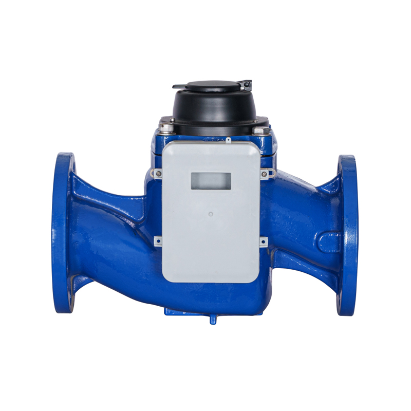 WS-DN40-DN200 Đồng hồ đo nước NB có thể tháo rời cánh vít thẳng đứng có độ chính xác cao