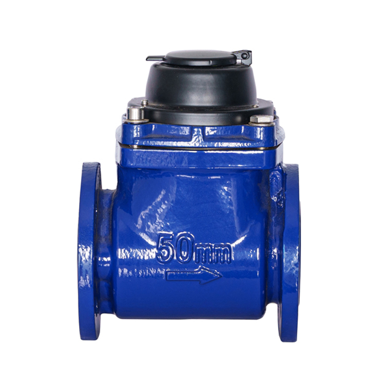 Đồng hồ đo nước cánh xoắn ốc có thể tháo rời ngang WPH DN50-DN200