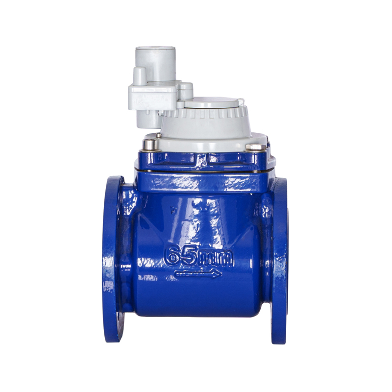 Đồng hồ đo nước tích hợp không từ tính cánh vít có thể tháo rời WPH DN50-DN200