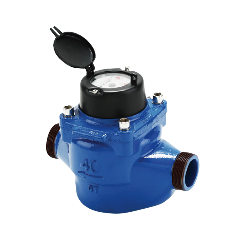 Đồng hồ đo nước giám sát đường ống WS DN40
